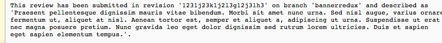 It's hard to tell which screenshots are of the current project. If you can remove any that don't represent the current state, that would help.

In this particular one, I'd rather not try to be smart and turn this into a big sentence. The description should be very distinct from the revision and branch.

The revision and branch should be marked up better so that they look like labels in the forms of what we have for every other field. Consistency is important here.