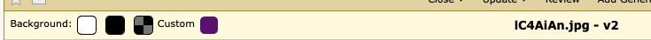 I think, personally, this UI fits in really nicely with Review Board's pre-existing metaphors. Great job!

A few notes:

1. We probably still want the filename in the center of this, rather than pushed to the right.
2. The labels should be vertical-center aligned
3. Either both should end with `:` or not.
4. We probably want a little extra space between "Custom" and the image on its left - maybe the same amount of distance between the background color selectors.